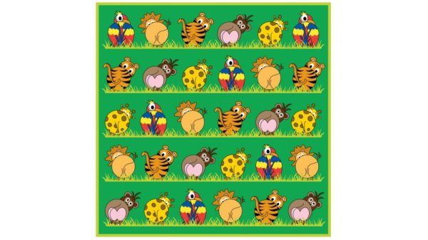 Zoo Animals Placement Rug