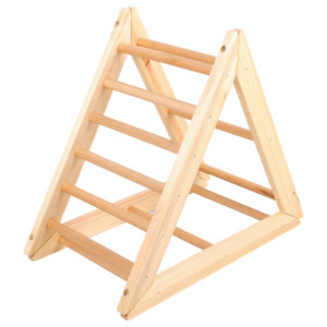 Gym Triangle Ladder